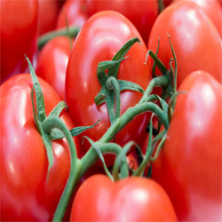 Image1