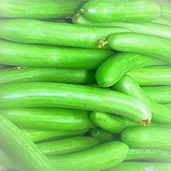 Image1